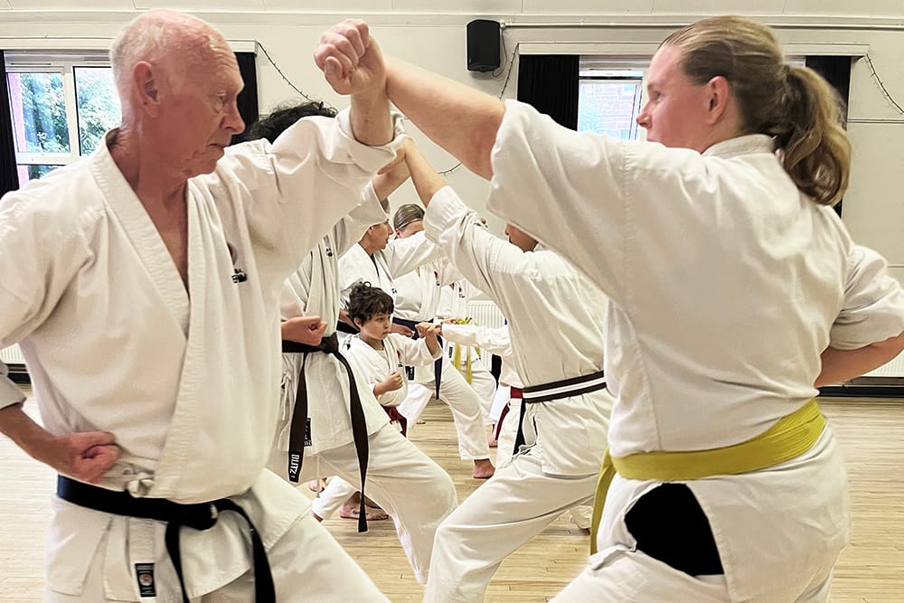 Members aged between 6 and 78 training together in class